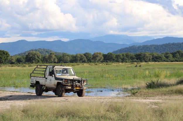 Biodiversity monitoring in the field